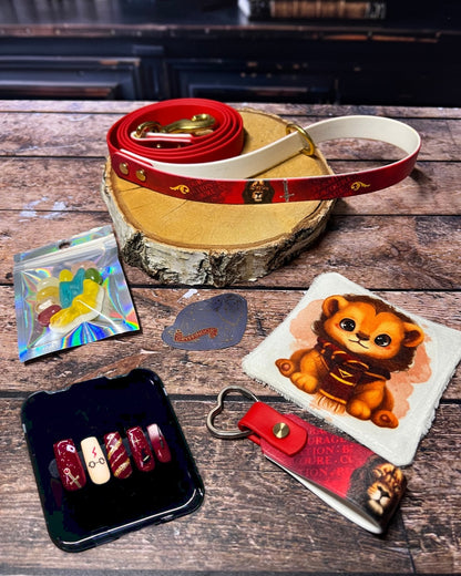 Box de Noël Les Pattes Enchantées