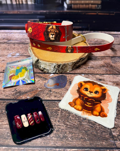 Box de Noël Les Pattes Enchantées