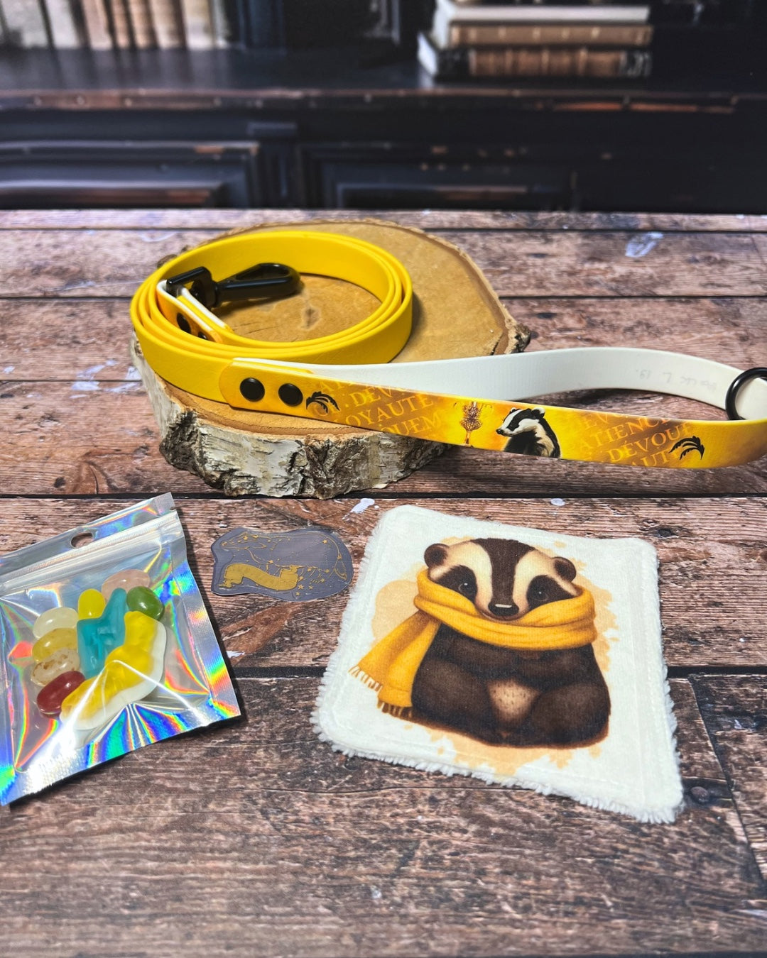 Box de Noël Les Pattes Enchantées