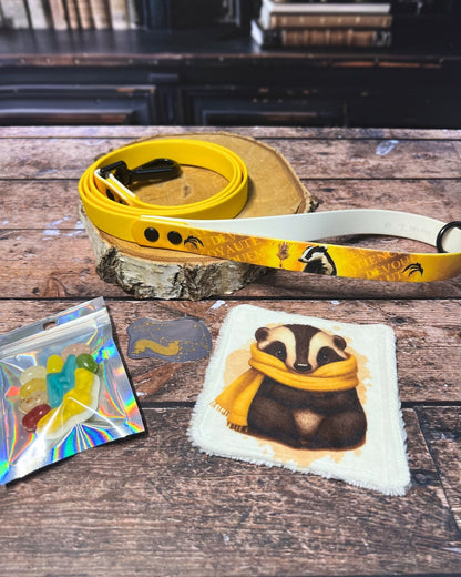 Box de Noël Les Pattes Enchantées