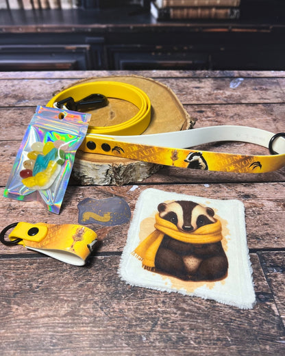 Box de Noël Les Pattes Enchantées