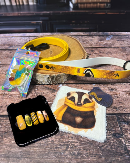 Box de Noël Les Pattes Enchantées