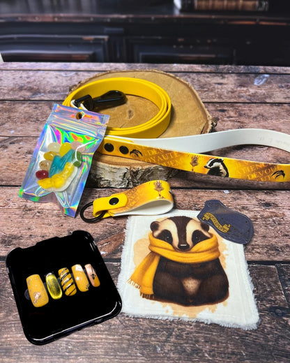 Box de Noël Les Pattes Enchantées