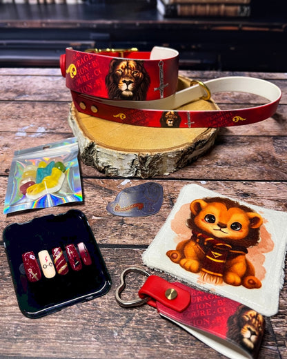 Box de Noël Les Pattes Enchantées